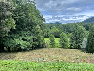 37 Bear Flower Tr Unit 35B, Arden, NC 28704