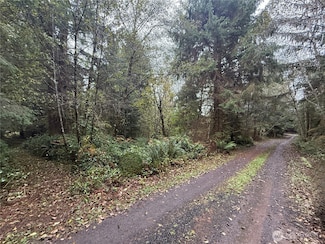 0 Rixon Rd Unit NWM2443833, South Bend, WA 98586