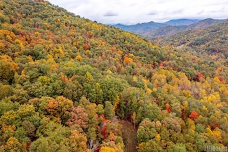 35 Lowland Glade Dr, Glenville, NC 28723