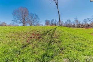 0 Bridge View Ct Unit 589946, Newberry, SC 29127