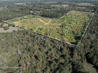 00 Lindsey Dr, Mount Olive, MS 39119