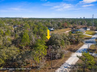 0 Dusky Warbler Rd Unit 2250976, Weeki Wachee, FL 34614