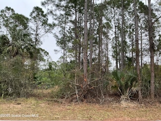 137 Santa Rosa Ave SW, Palm Bay, FL 32908