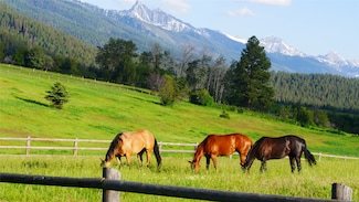 41698 Canal Rd, Polson, MT 59860