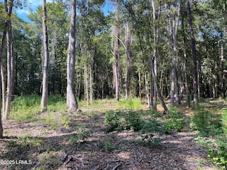 51 Mary Smalls Rd, Saint Helena Island, SC 29920