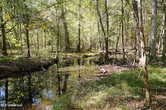 0 Jackson Liberty Dr SW, Smithdale, MS 39664