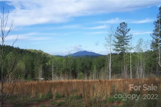 Tract 3 County Line Rd, Mill Spring, NC 28756