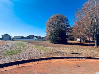 116 Kensington Ct, Alexandria, AL 36250