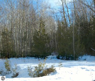 00 Creswell Ln, Kewadin, MI 49648