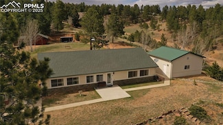 867 Twin Lakes Dr, Divide, CO 80814