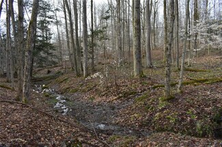 4811 Pickard Rd, Dewittville, NY 14728