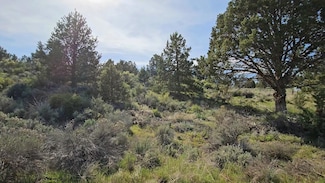 0 Harney Unit 19 220181976, Sprague River, OR 97639