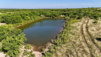 TBD County 131 Rd, Winters, TX 79567