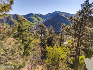 12896 N Ajo Ave Unit 6, Mt. Lemmon, AZ 85619