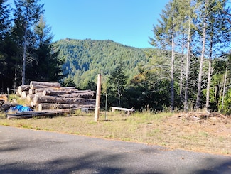 197 & 207 Ridge Rd, Shelter Cove, CA 95589