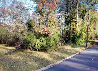 0 Stoneham Ct Unit 7498130, Atlanta, GA 30349