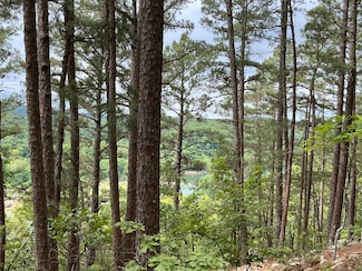 0 Woods Rd Unit 23543396, Melbourne, AR 72556