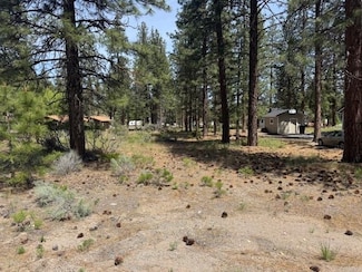 Unit 5-3 Lot 7 Wood Ct Unit 5-3, Lake Shastina, CA 96094