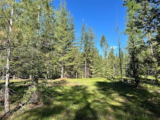 Nhn Little Beaver Creek Rd, Trout Creek, MT 59874
