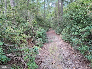 35-81B Old Parsons Rd, King George, VA 22485
