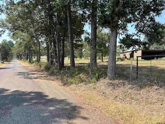 3.35 ACRES tbd County Road 2169, Troup, TX 75789