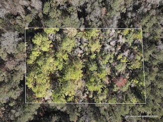 1.08 Mol Ac Old Hwy 24 Parcel 36, Mc Lain, MS 39456