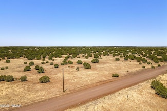 8770 Supancheck Rd, Show Low, AZ 85901
