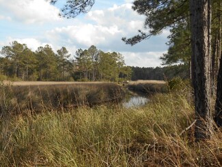 0 Durgin Place Rd Unit 17002019, Awendaw, SC 29429