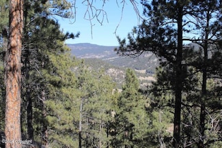 53 Pine Top Dr, Newcastle, WY 82701