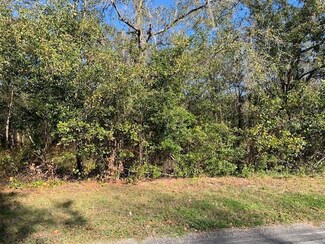 Lot 16 Lake Hills Dr, Riverview, FL 33569