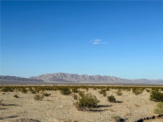 20 Danby Rd, Wonder Valley, CA 92277