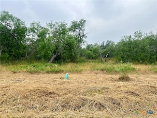 Lot 6 Wisteria Ln, Smiley, TX 78159