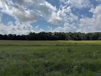 TBD Cr 317, Henderson, TX 75652