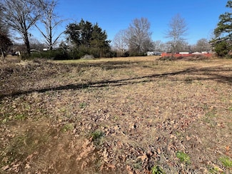 135 Gean Ln, Savannah, TN 38372