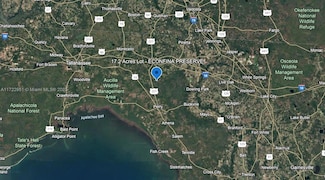 . McMullen Bridge Rd, Greenville, FL 32331