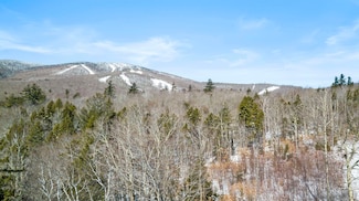 2 Gold Medal Cir, Stratton, VT 05343
