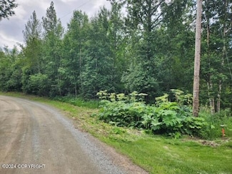 5410 E Tamerack Cir, Lakes, AK 99654