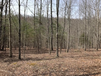 Lot 49 Big Falls Trail, Dunlap, TN 37327