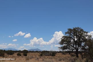 664 S Raven Hill Ln, Williams, AZ 86046