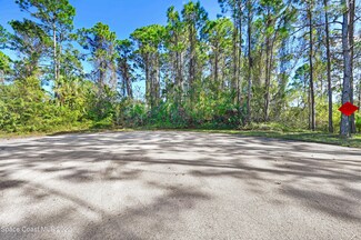 351 Battersea Ave SE, Palm Bay, FL 32909