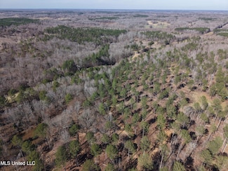 0 Paul-Shady Grove Rd, Cascilla, MS 38920