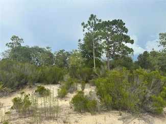 0 NE 85th St, East Bronson, FL 32621