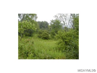 0 Mowers Road (Upper Lot) Unit 1502527, Schuyler, NY 13340