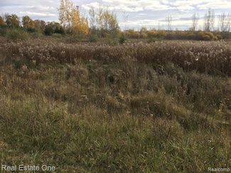 02 Single Tree Cir, Dryden Township, MI 48428