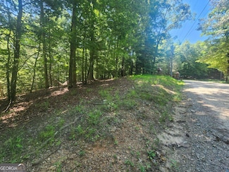 Lot 3 Meadow View Dr Unit 3, Morganton, GA 30560