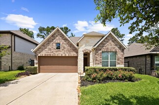 135 Winged Elm Ct, Willis, TX 77318