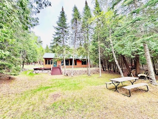 51317 Pine Point Rd, Bigfork, MN 56628