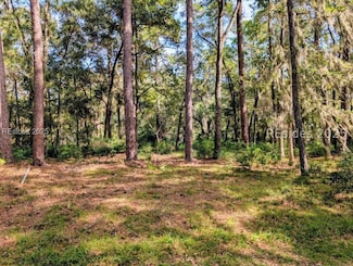 48 Volunteers Ridge, Daufuskie Island, SC 29915