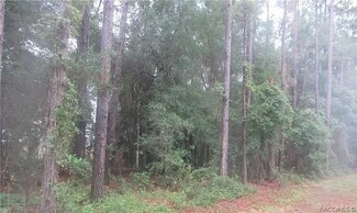 8937 N Parsnip Terrace, Crystal River, FL 34429