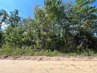 327 & 329 Shangri-La St, Interlachen, FL 32148